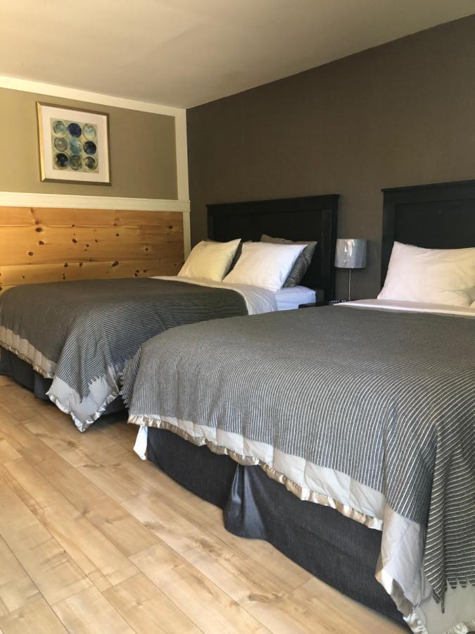 St. Andrews By The Sea Greenside Motel المظهر الخارجي الصورة